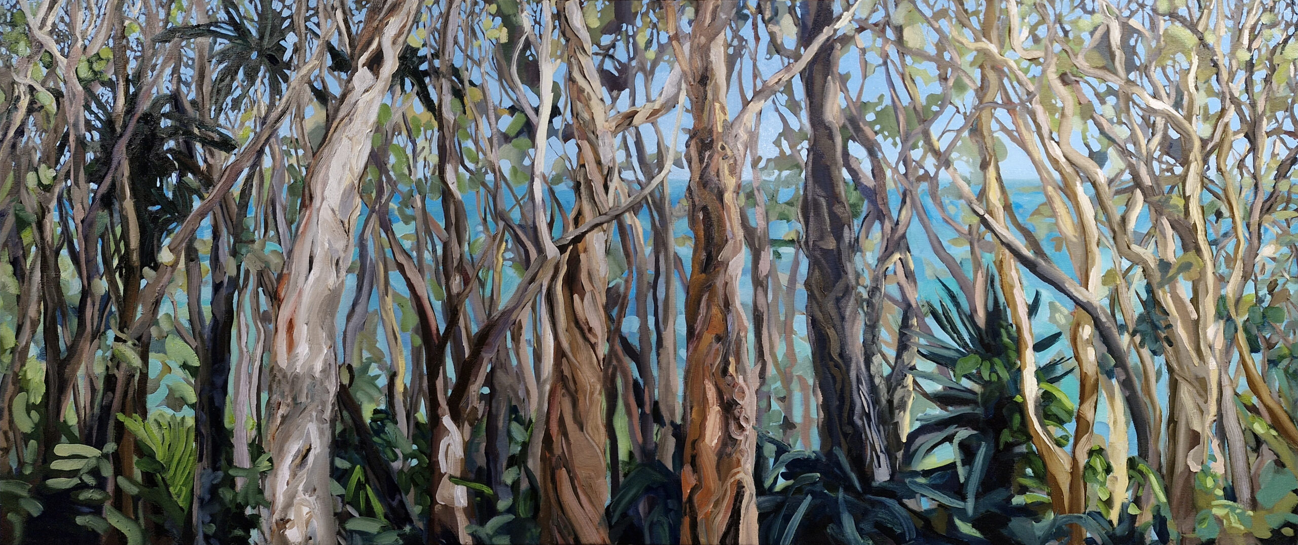 Kate Marek | Tea Tree Bay – Noosa National Park